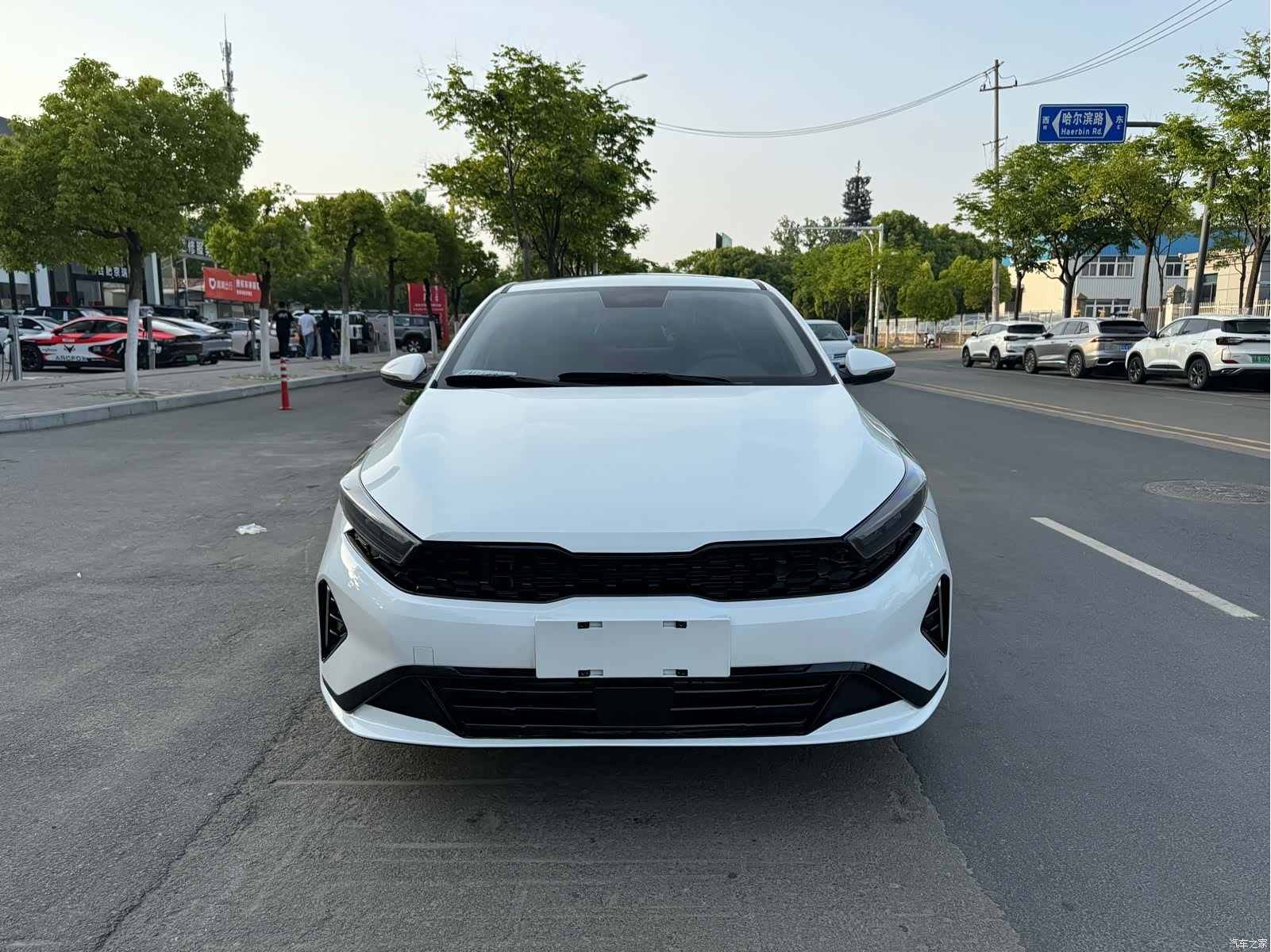 Kia K3, 2024 2