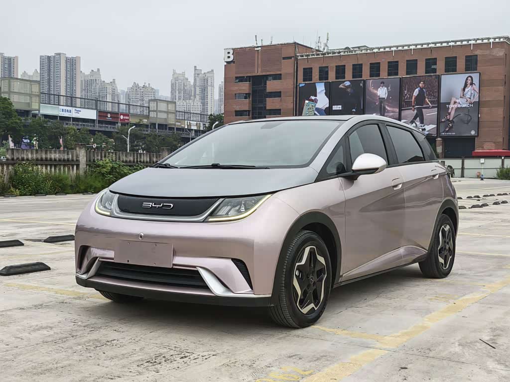 BYD Dolphin