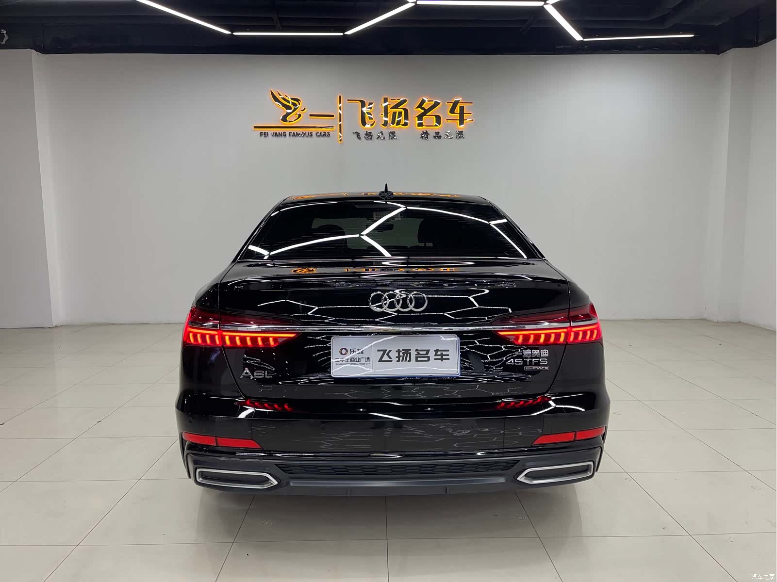 Audi A6L, 2022 16