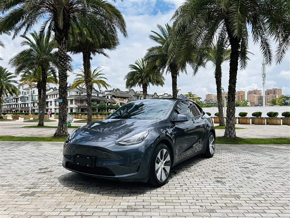 Tesla Model Y Tesla Model Y