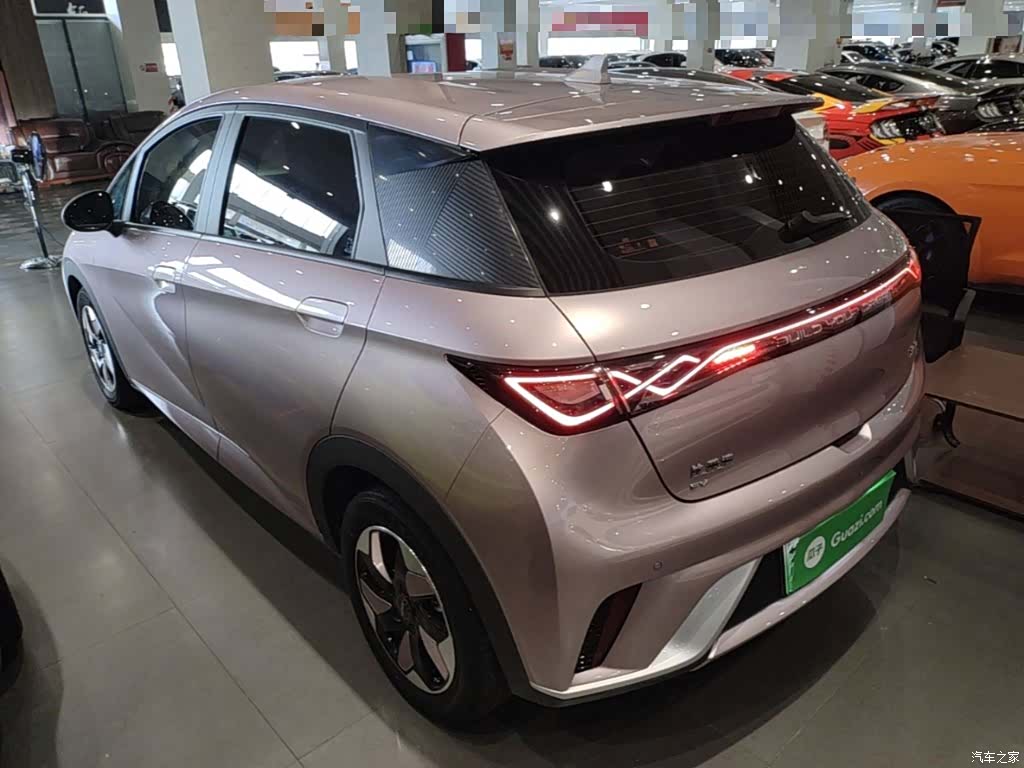 BYD Dolphin, 2024 все фото