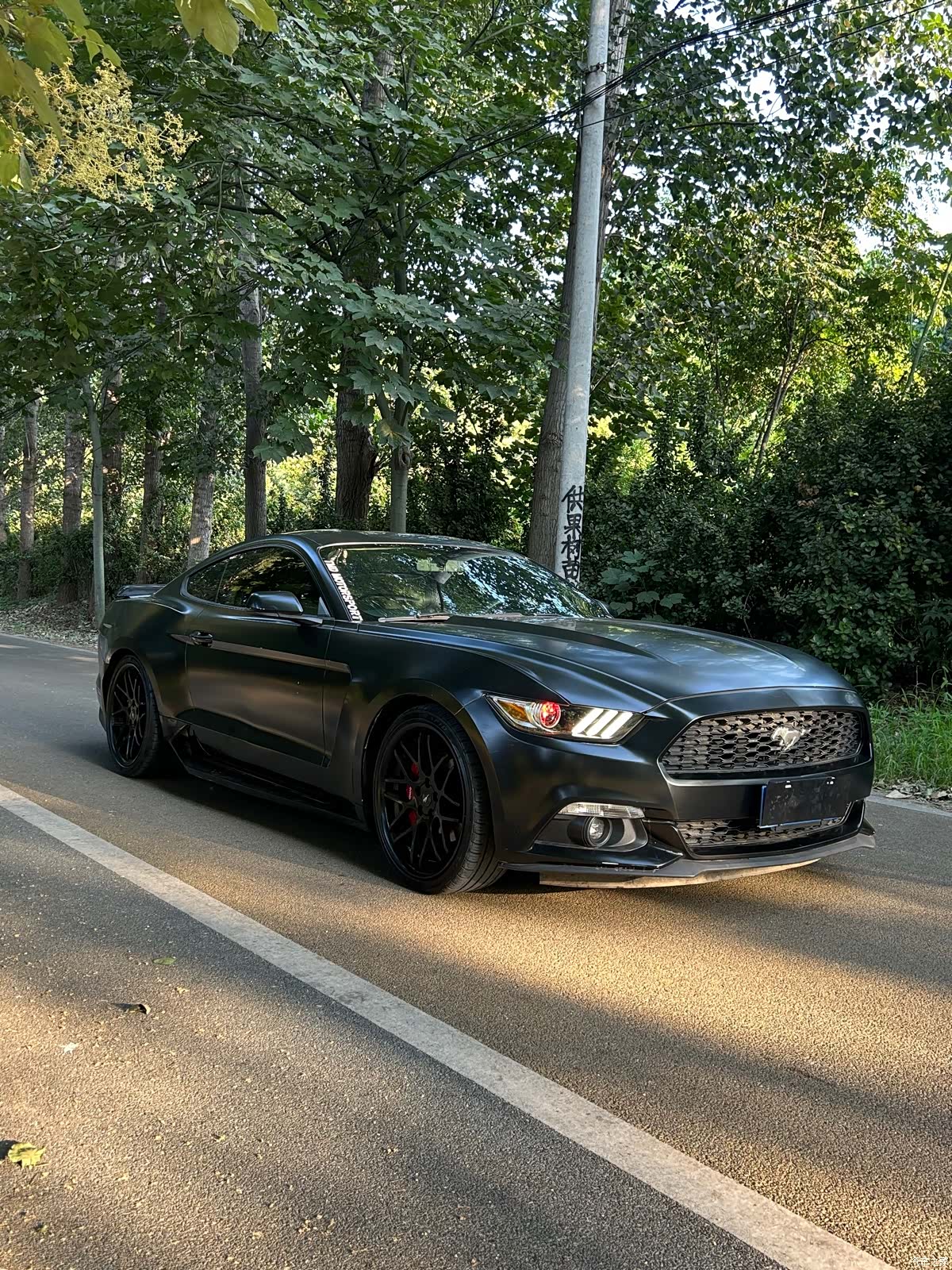 Ford Mustang, 2016 3