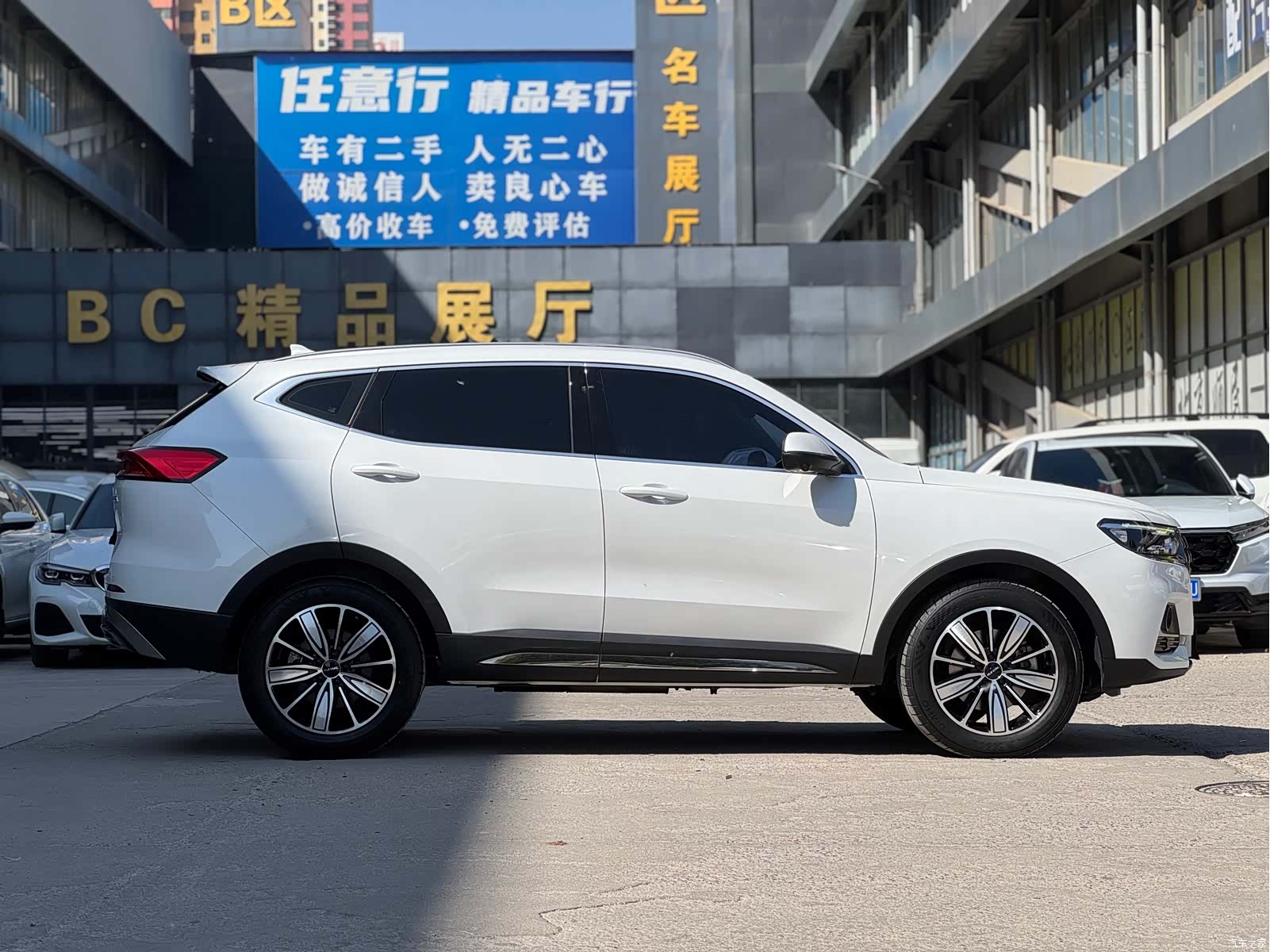 Haval H6, 2023 все фото