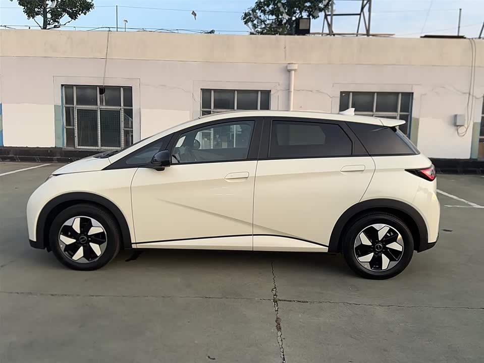 BYD dolphin BYD dolphin
