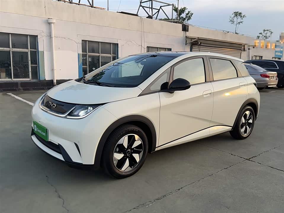 BYD dolphin BYD dolphin