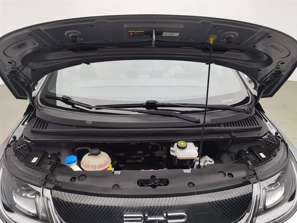 BYD dolphin BYD dolphin