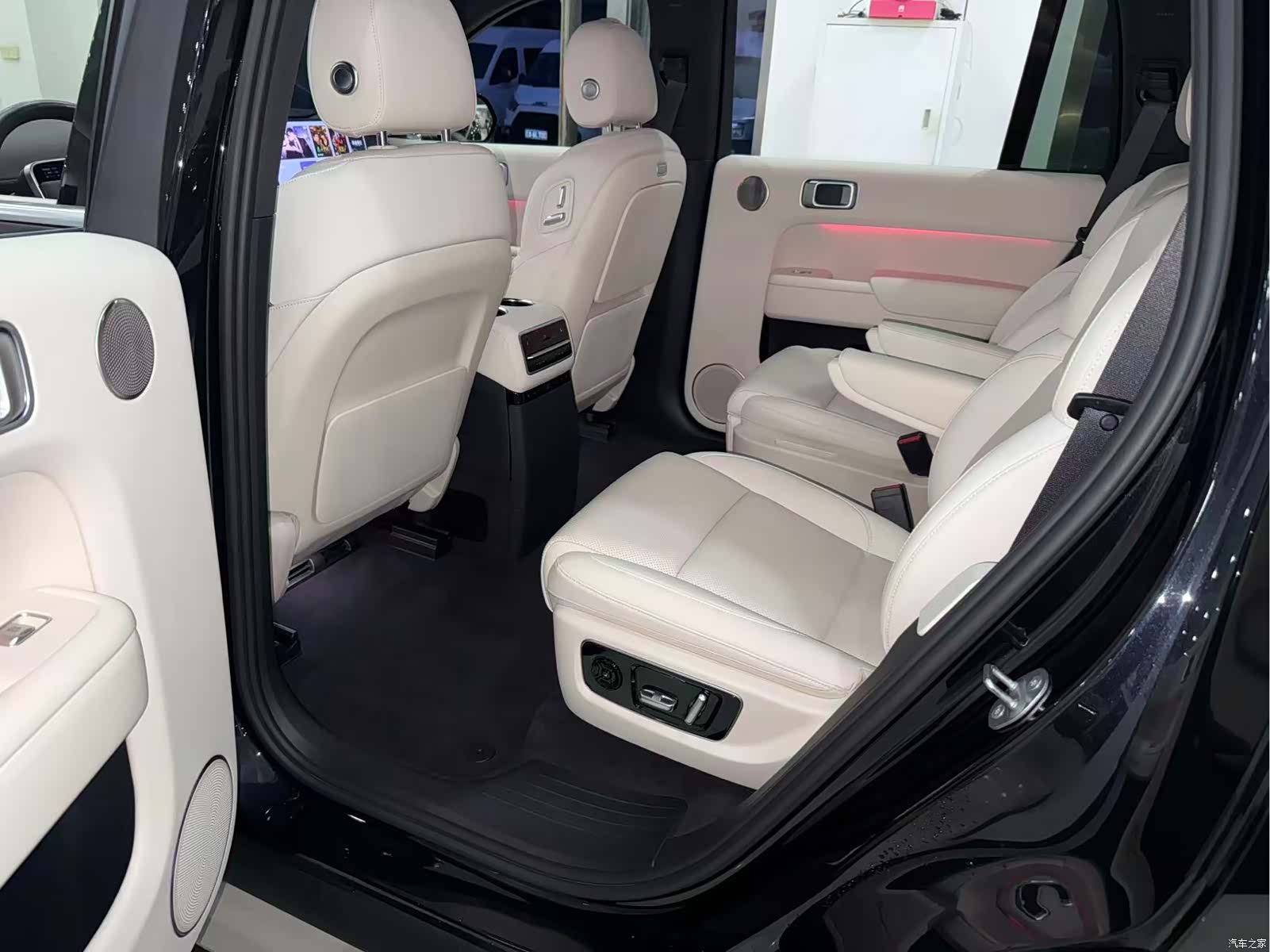 Li Auto L9, 2023 9