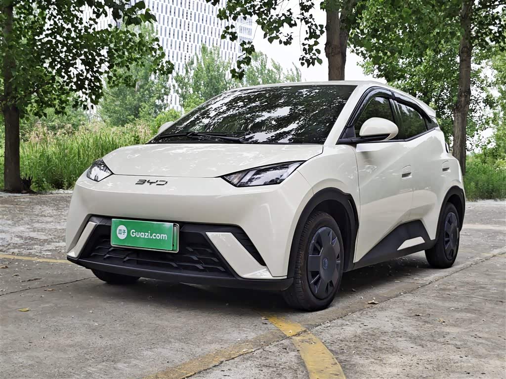 BYD Seagull