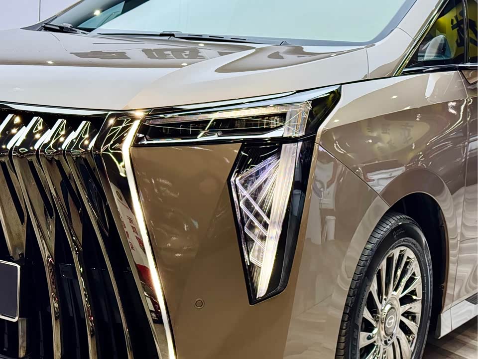 Trumpchi Trumpchi M8