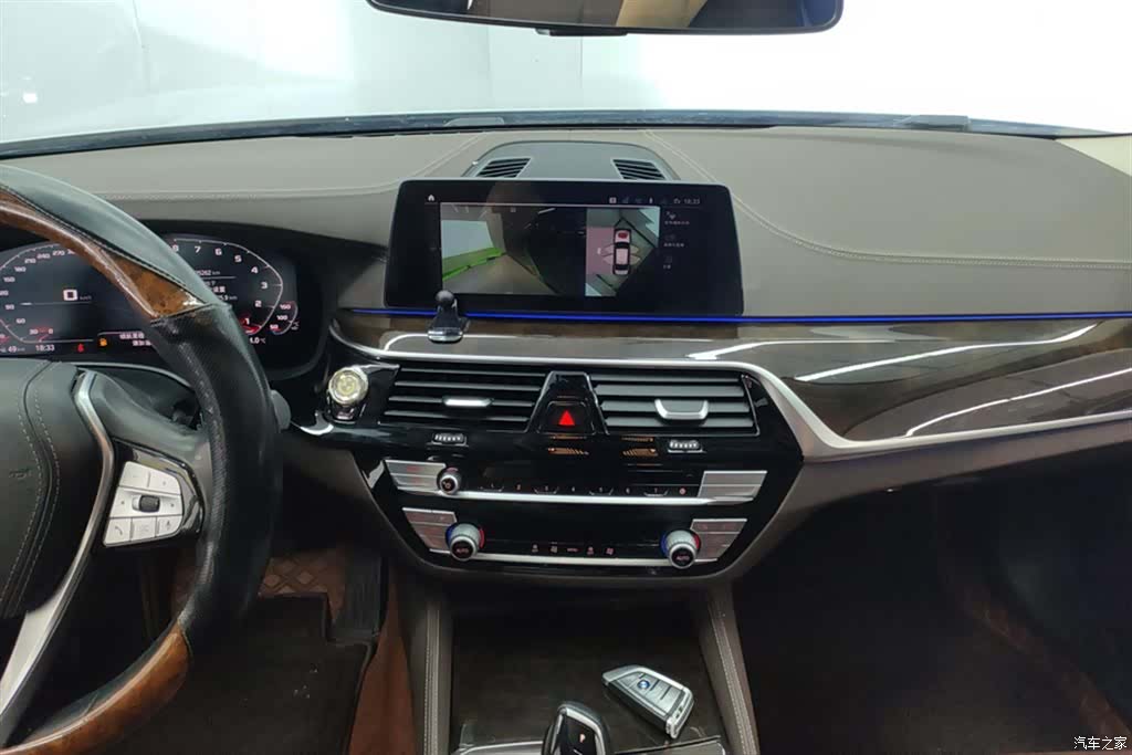 BMW 5 Series, 2020 13