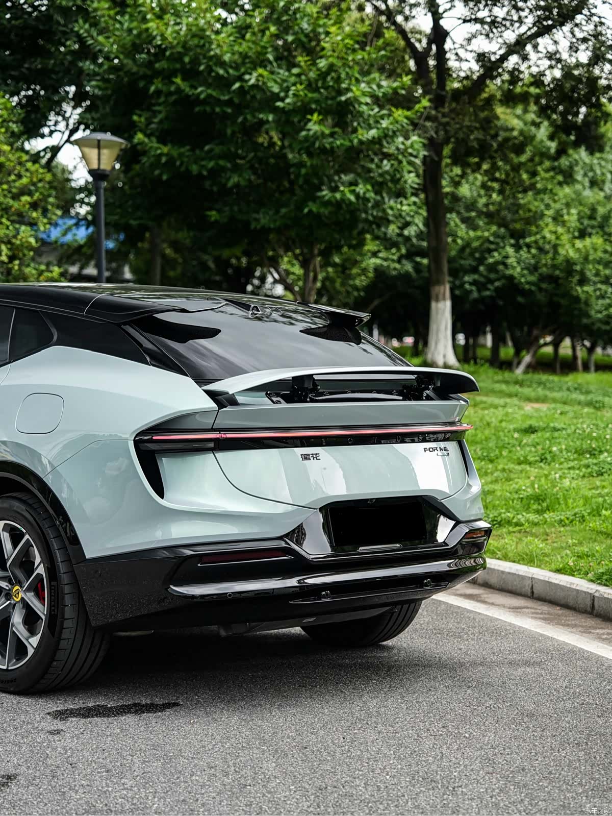 Lotus FOR, 2026 6