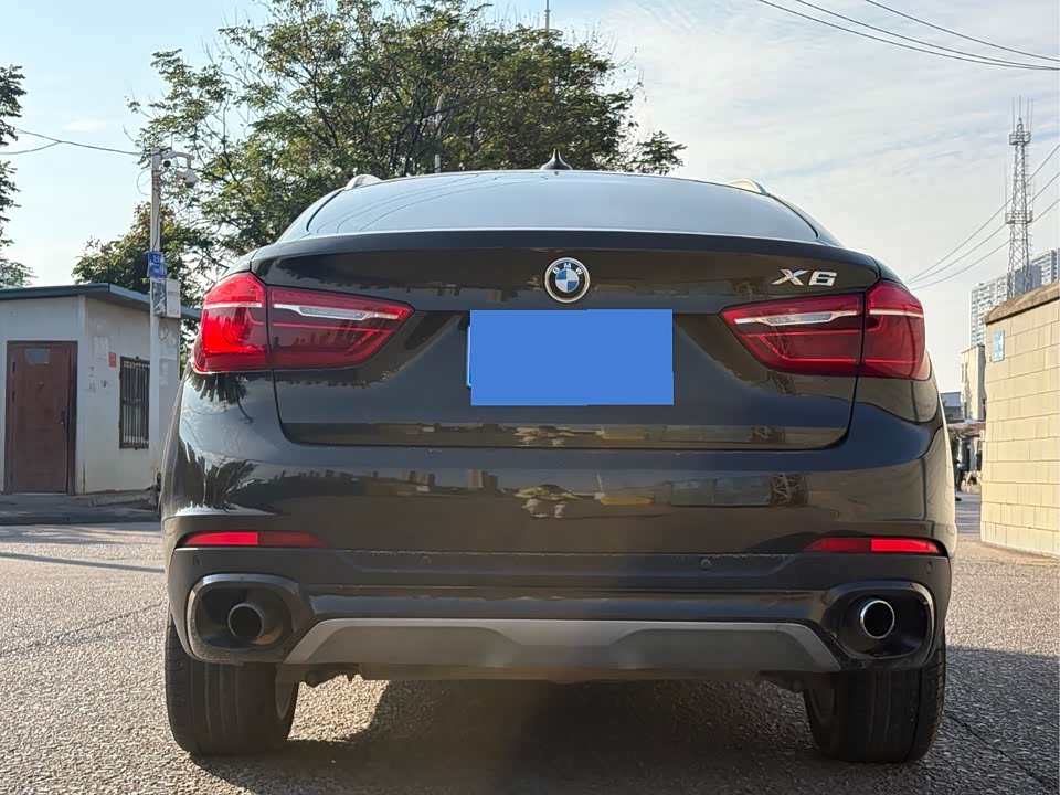 BMW X6