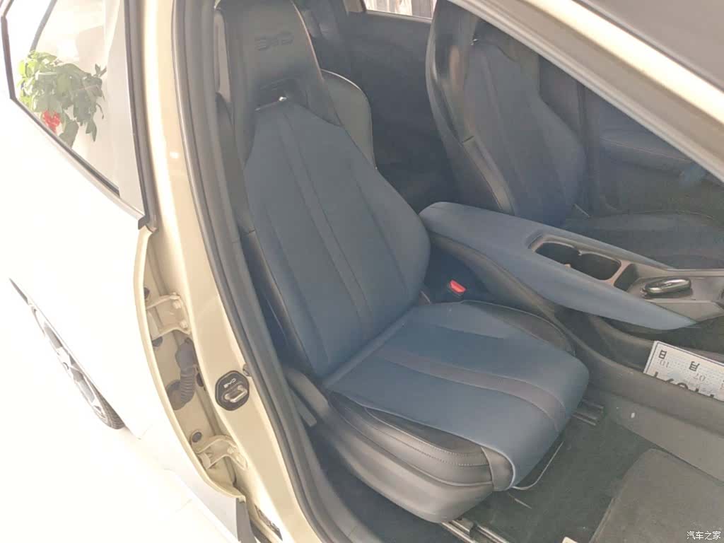 BYD Seagull, 2024 25
