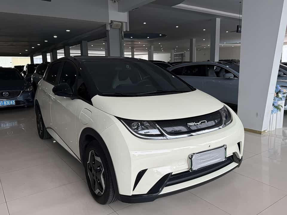 BYD dolphin