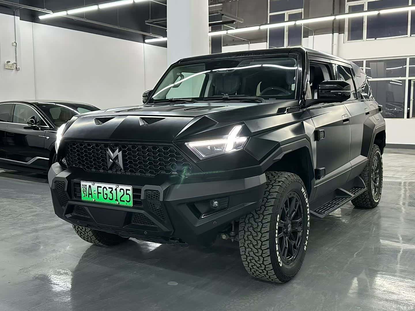 Mengshi 917, 2024 1
