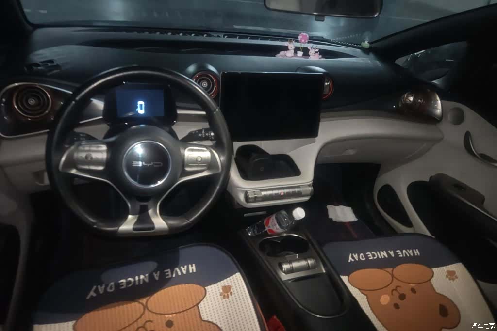BYD Dolphin, 2022 12