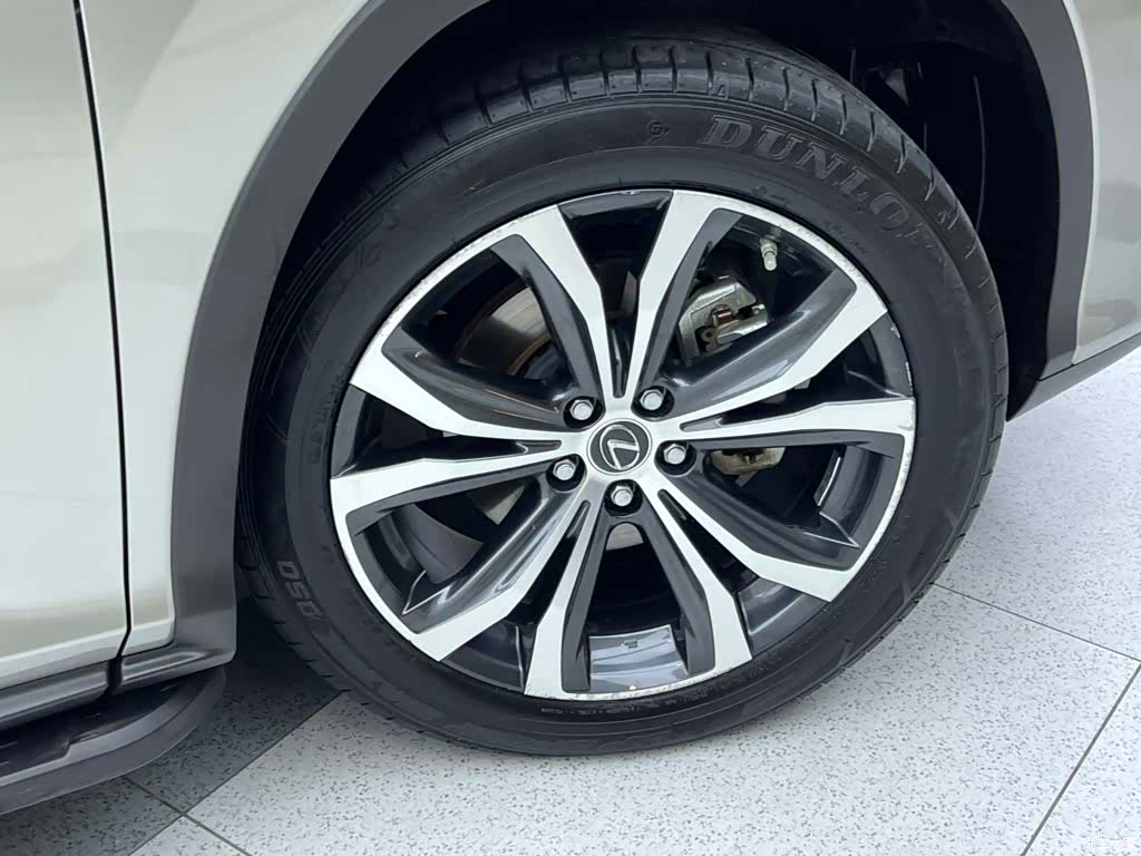 Lexus RX, 2022 19