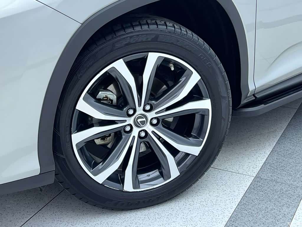 Lexus RX, 2022 30
