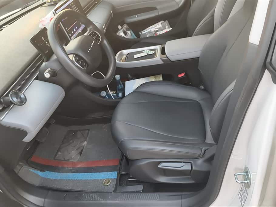 Dongfeng Nammi Nano 01