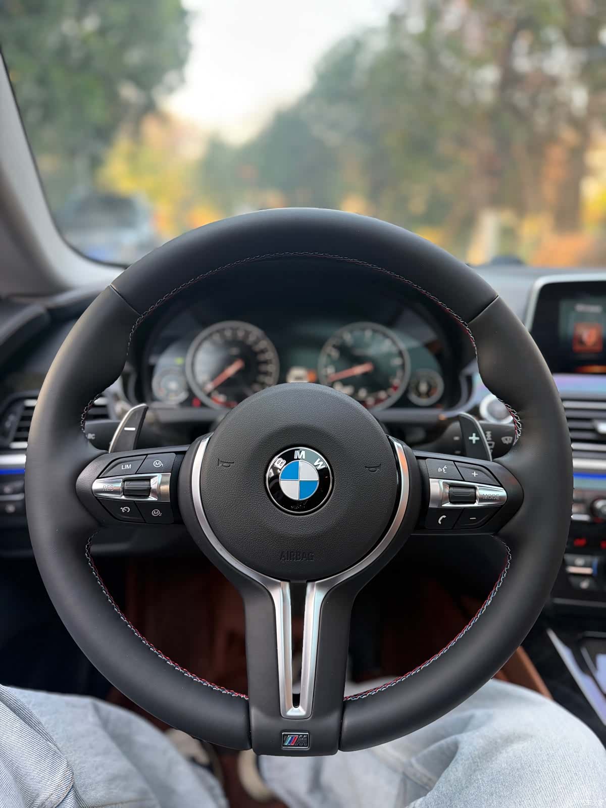 BMW 6 Series, 2017 19