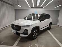 ����RS-5 2019�� 1.5T CVT���ܼݿ��콢�� ��V