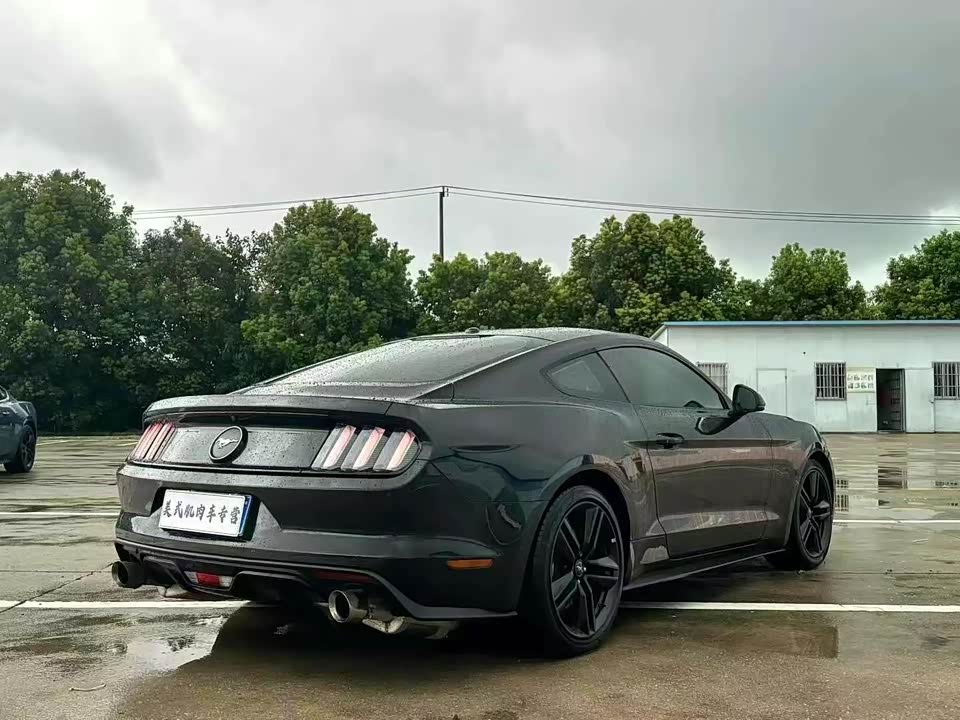 Ford Mustang Ford Mustang