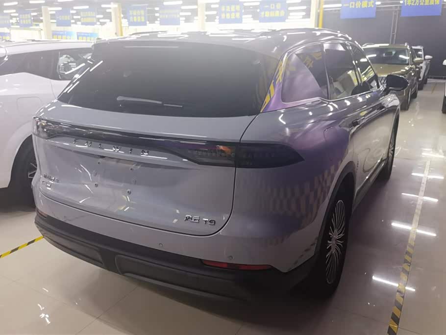 Chery Fulwin Fengyun T9