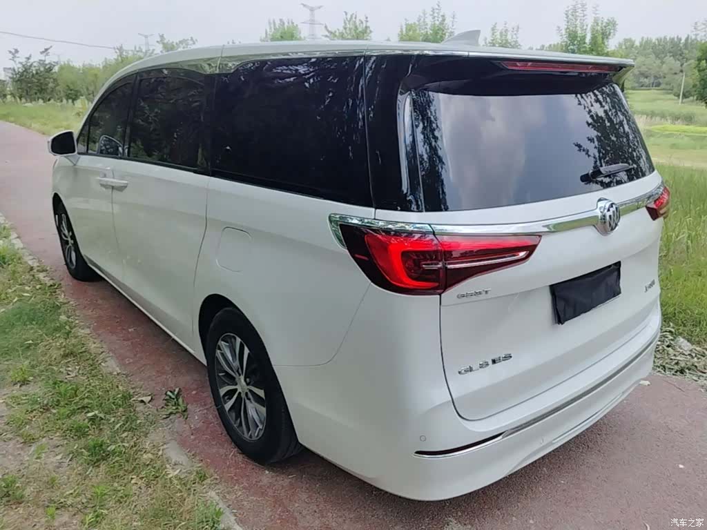 Buick GL8, 2020 все фото