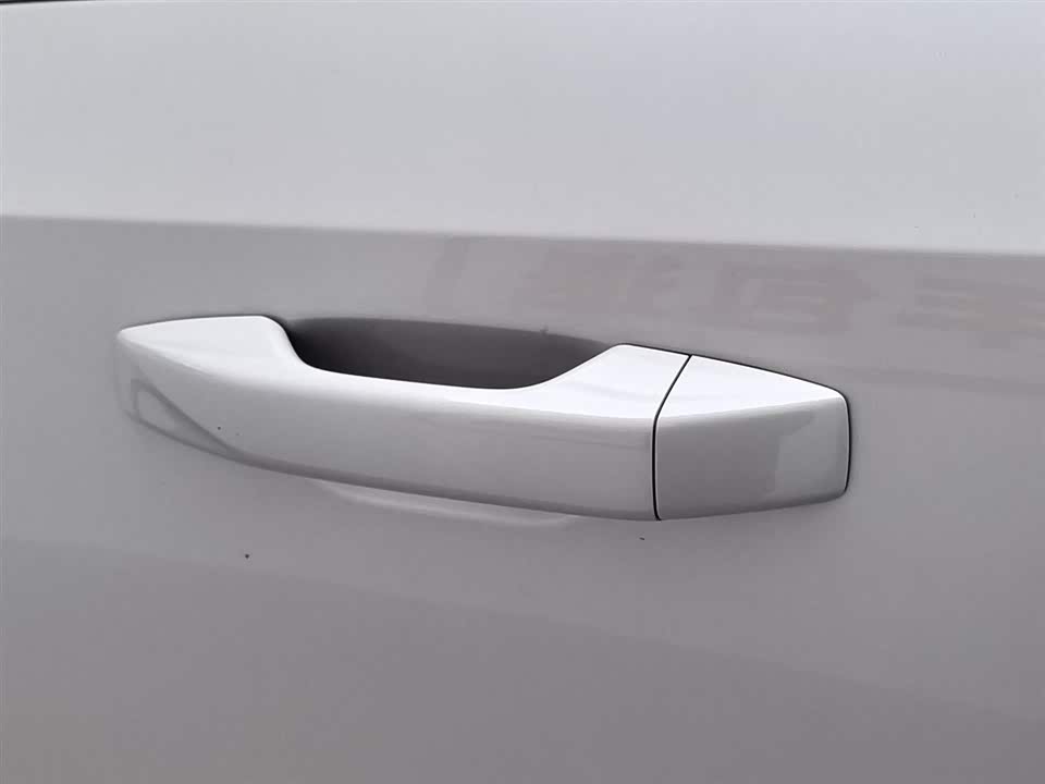 Trumpchi Trumpchi ES9