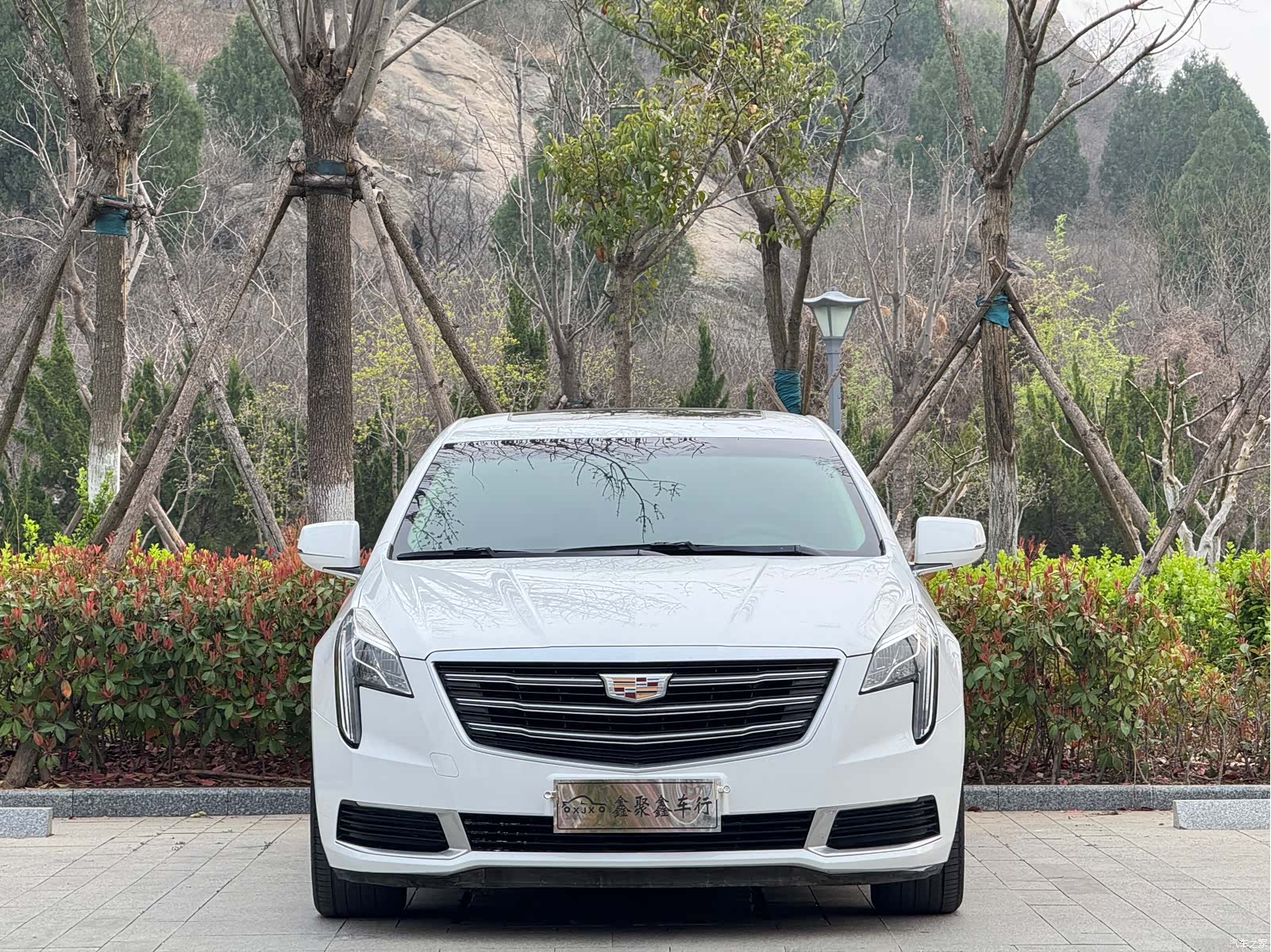 Cadillac XTS, 2019 2
