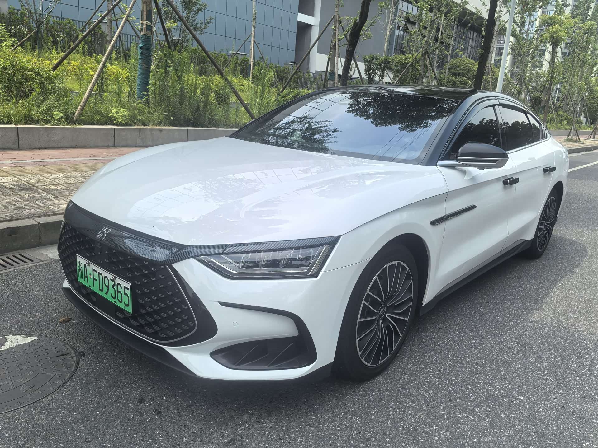 BYD Han, 2023 1