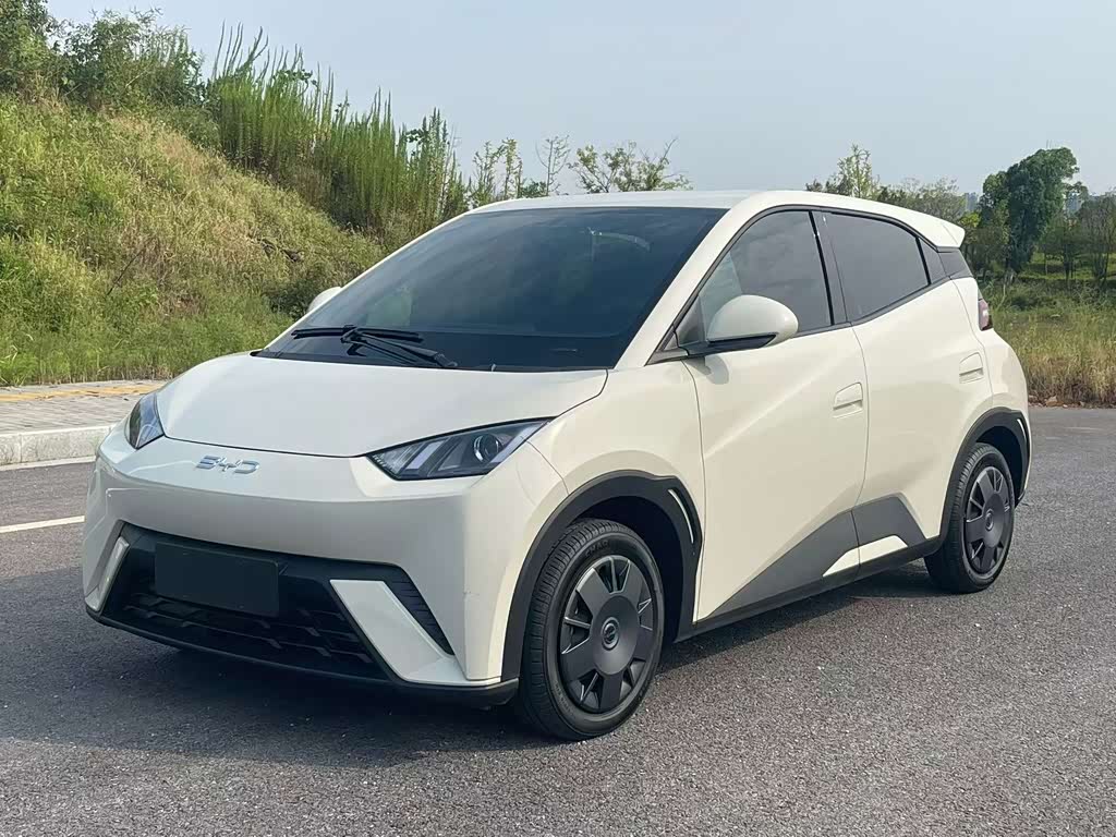 BYD Seagull 2024 305km Freedom