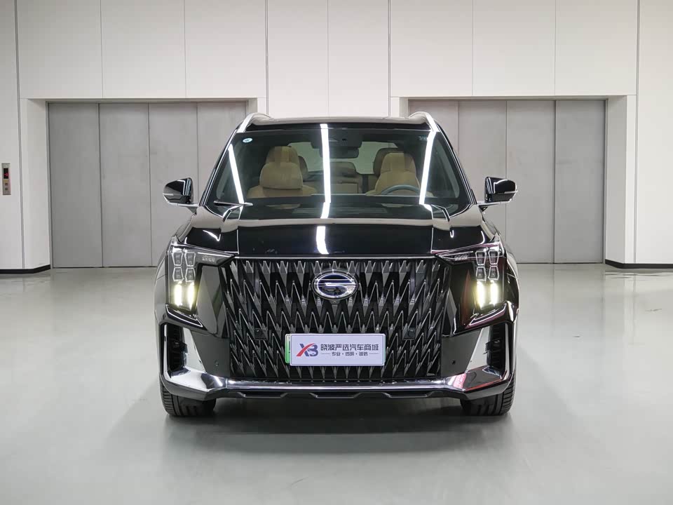 Trumpchi Trumpchi ES9