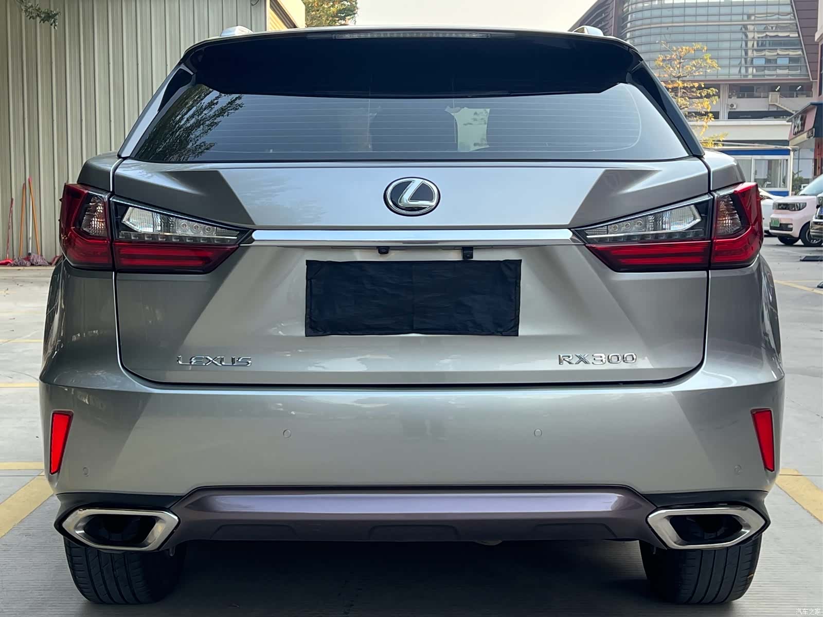 Lexus RX, 2017 4