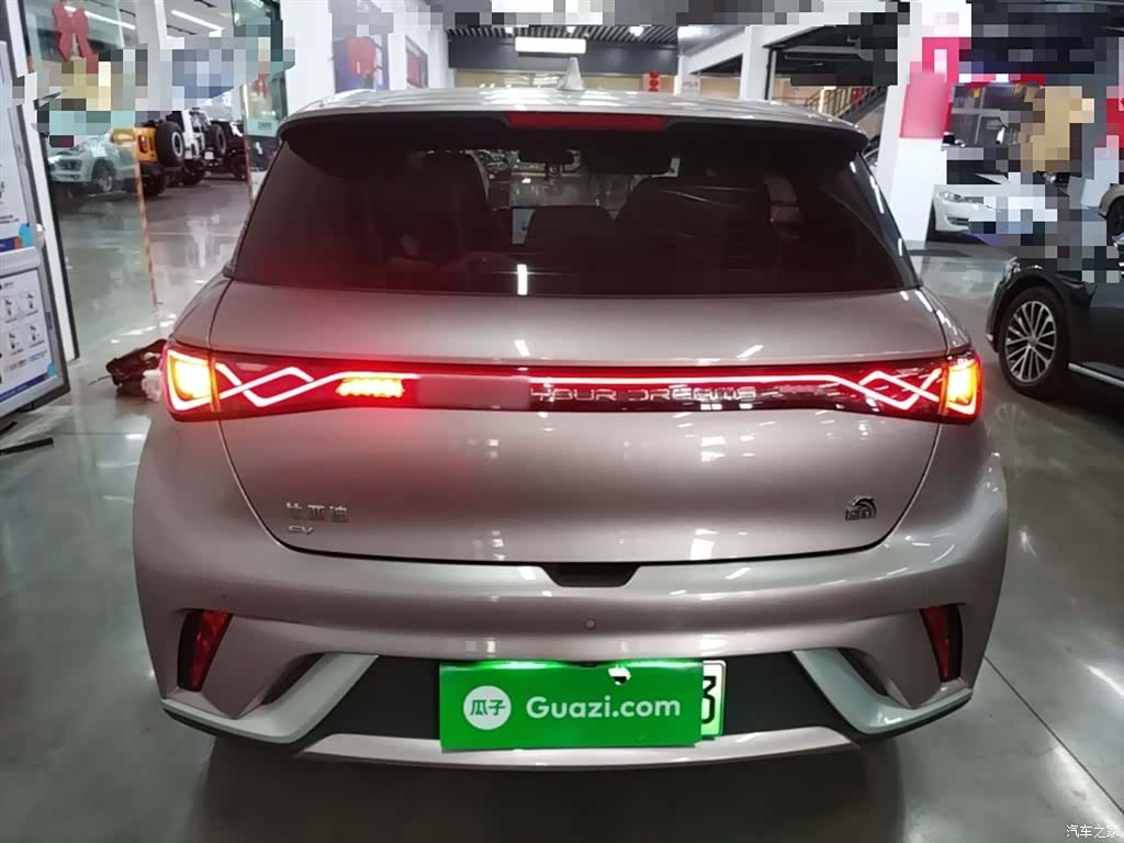 BYD Dolphin, 2023 4