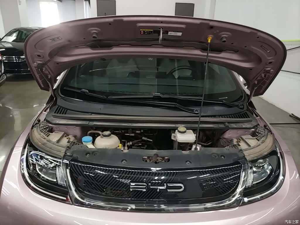 BYD Dolphin, 2023 16