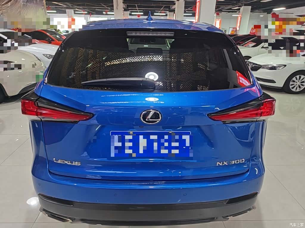 Lexus NX, 2018 6