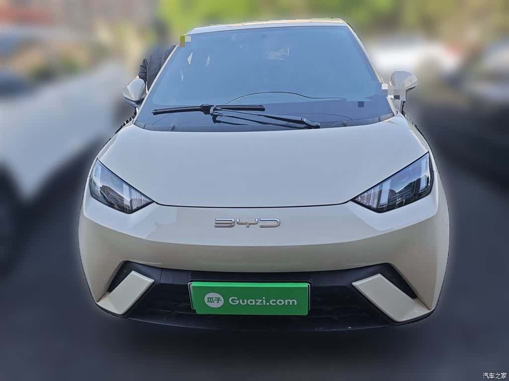 BYD Seagull, 2023 24
