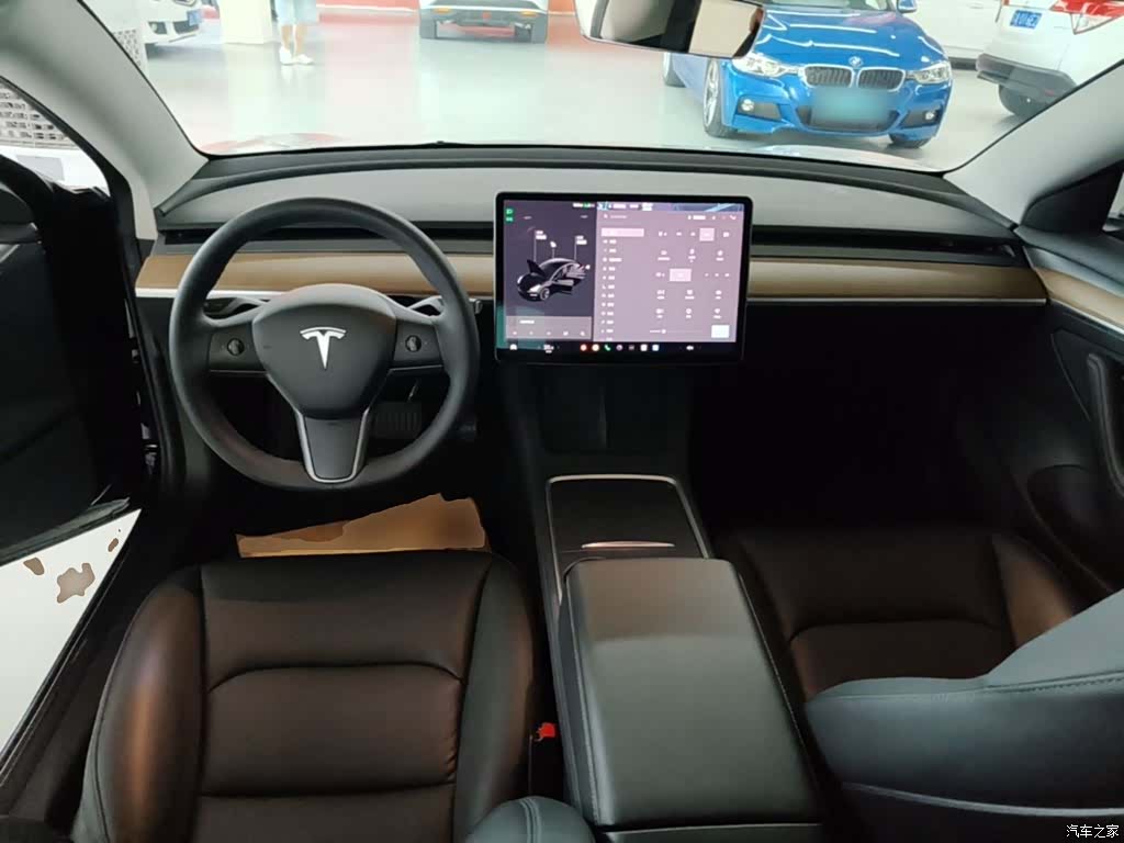 Tesla Model 3, 2021 10