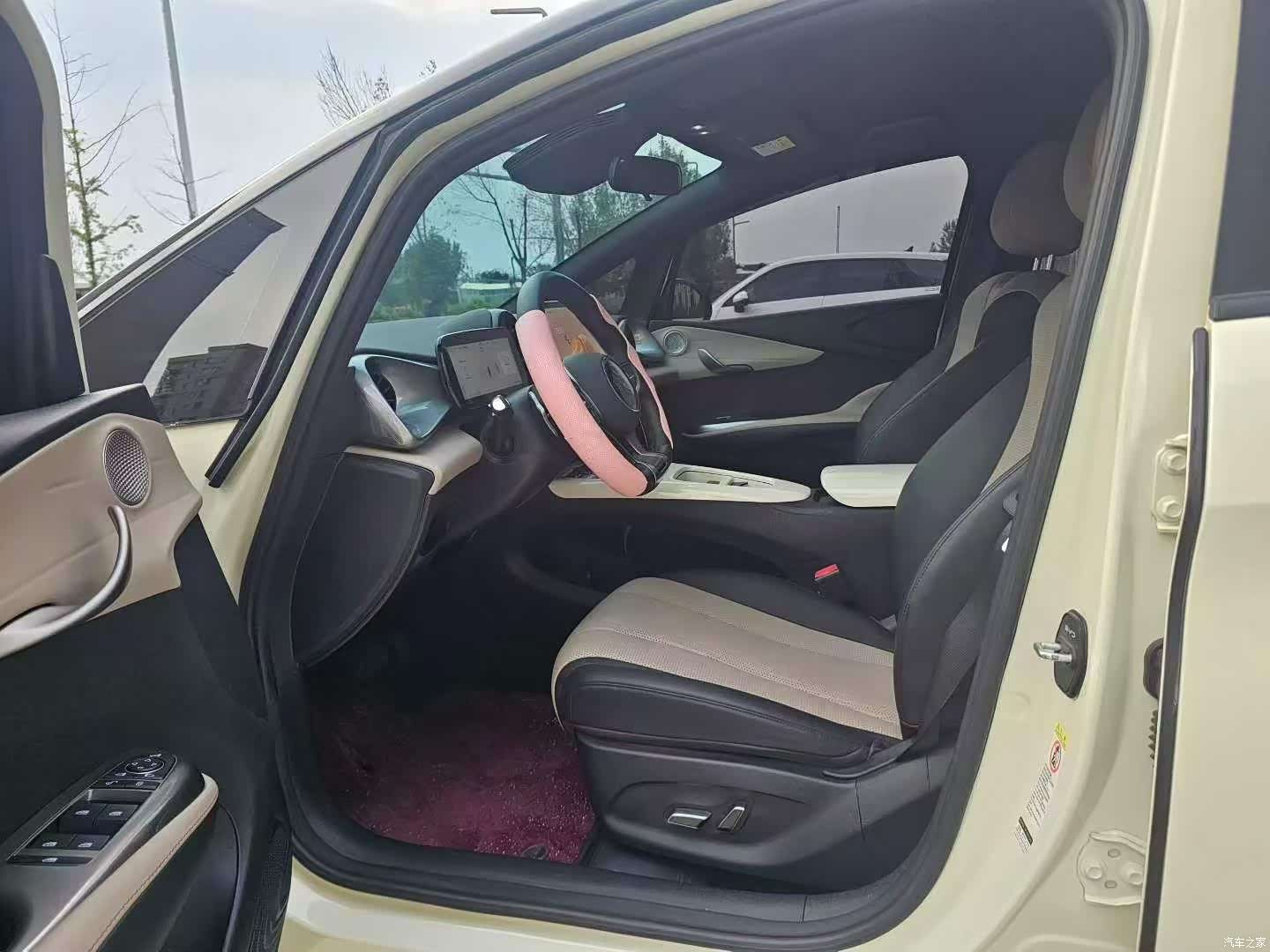 BYD Dolphin, 2025 4