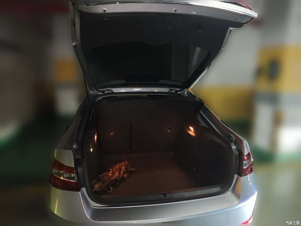 Skoda Superb, 2016 16
