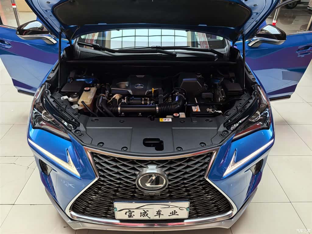 Lexus NX, 2017 21