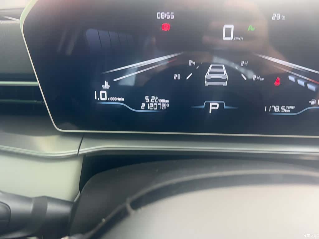 Geely Binray, 2024 9