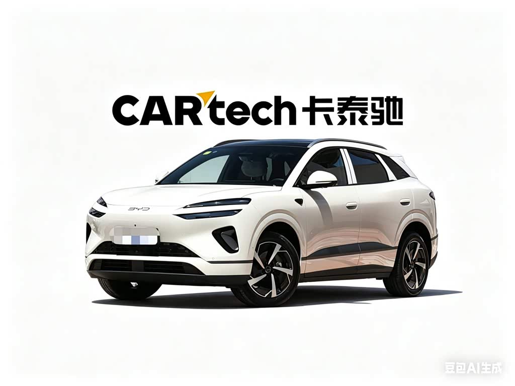 BYD 06