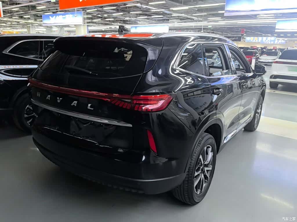 Haval H6, 2024 все фото