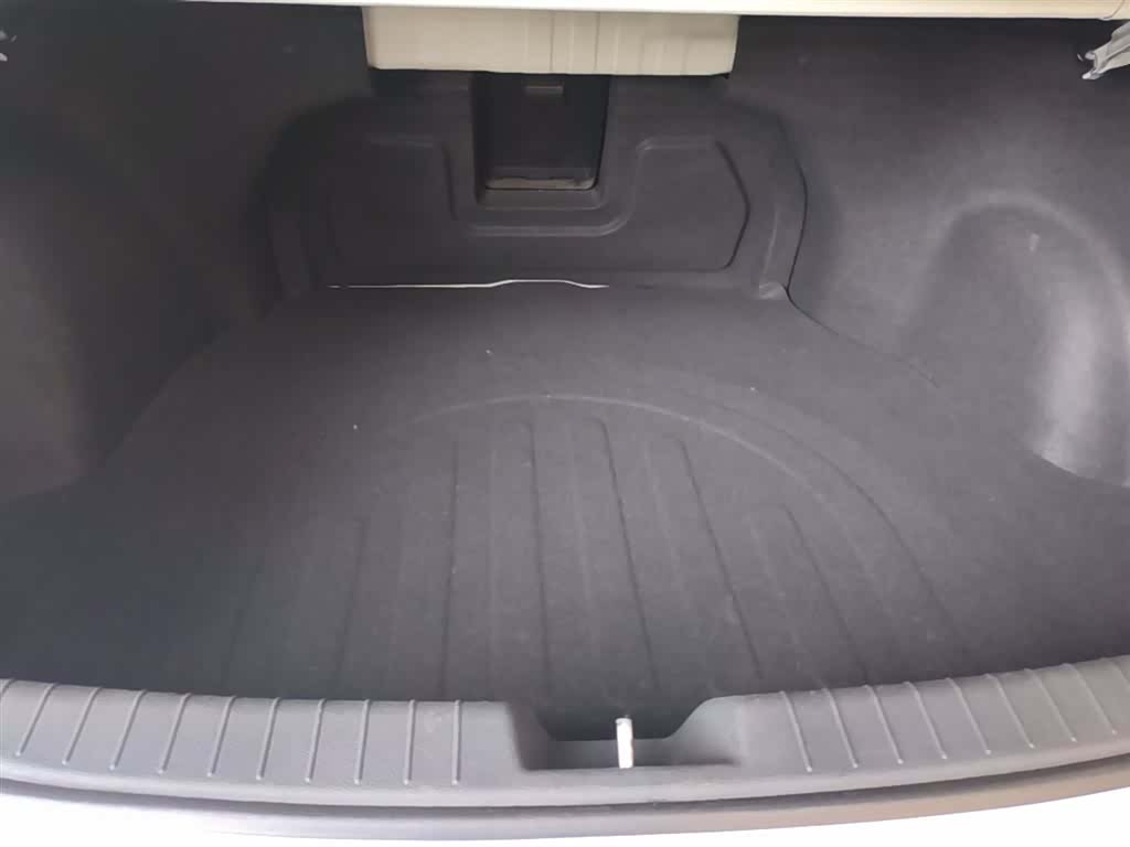 Hyundai GLS, 2018 19