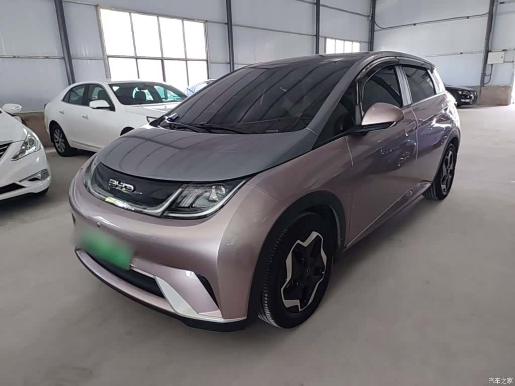 BYD Dolphin, 2022 1