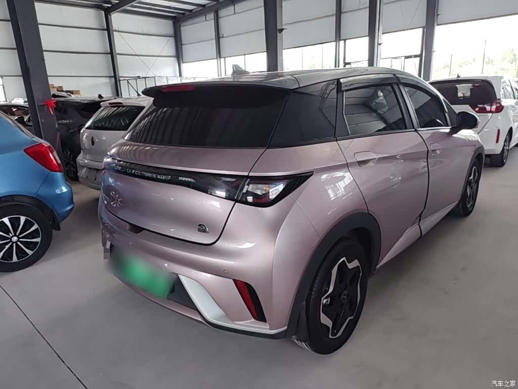 BYD Dolphin, 2022 7