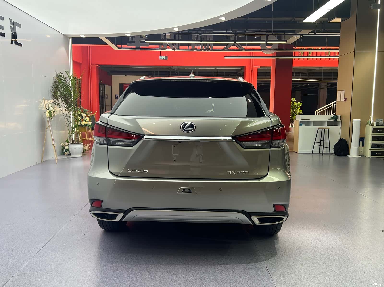 Lexus RX, 2021 18