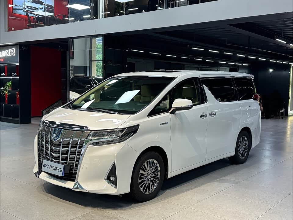 Toyota Elfa